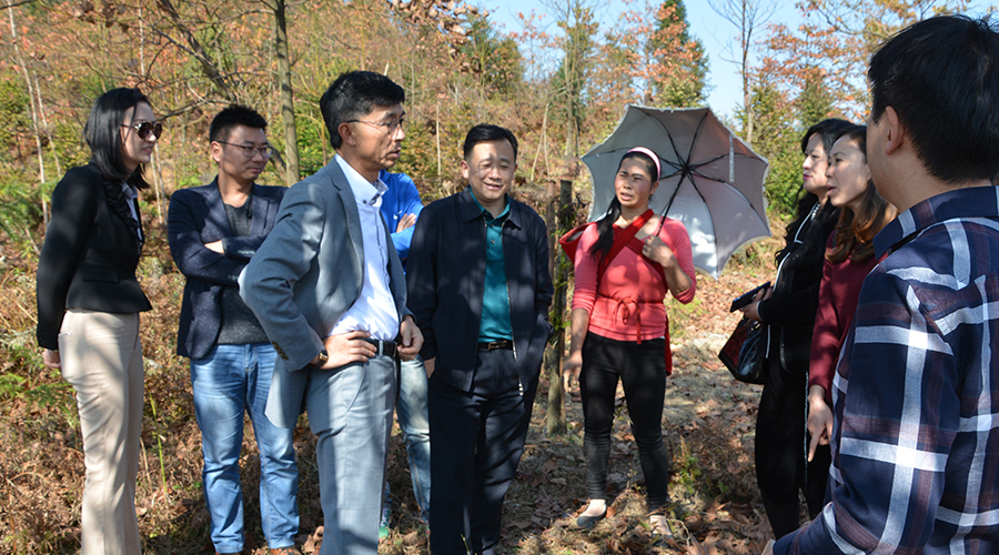 博天堂(918)官方网站 - 让你更杰出